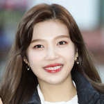 조이 (레드벨벳)